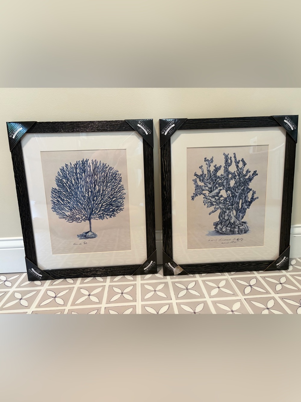 New Wexford Home Sea Coral Framed Art - Set of 2
